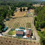 Sora No Mori Village *