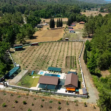 Sora No Mori Village *